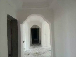 建业桂圆